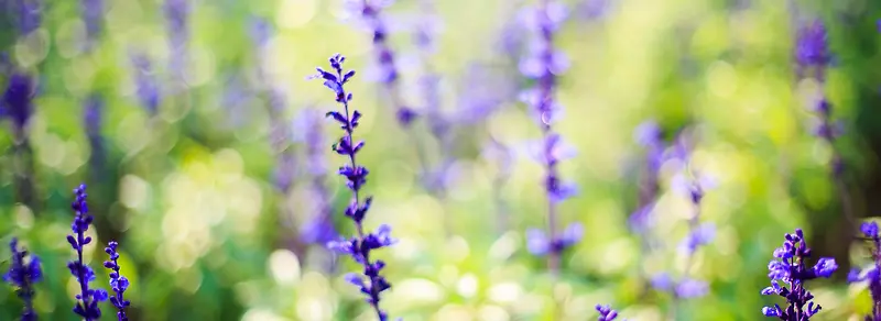 ���²�-������