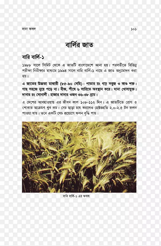 �ݡ�ֲ��л��塢��Ʒ������-������