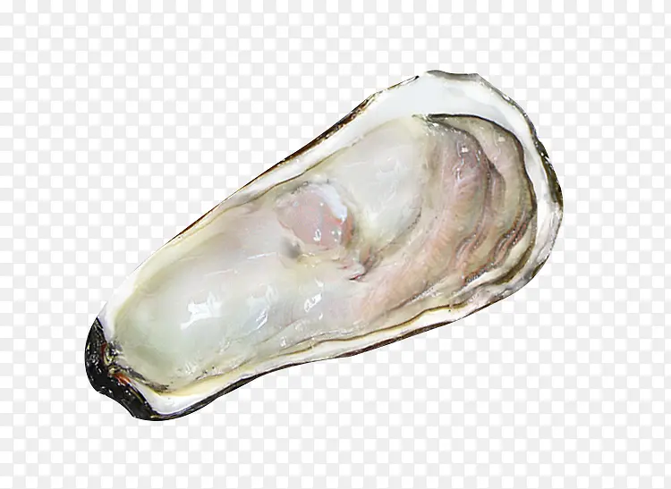 ���ʱ��������-������