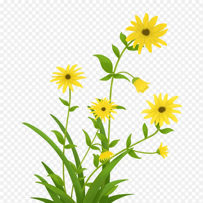 ��ͨ�ֻ�ջ�-������