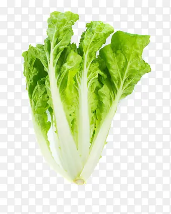 �ײ�����߲�-������