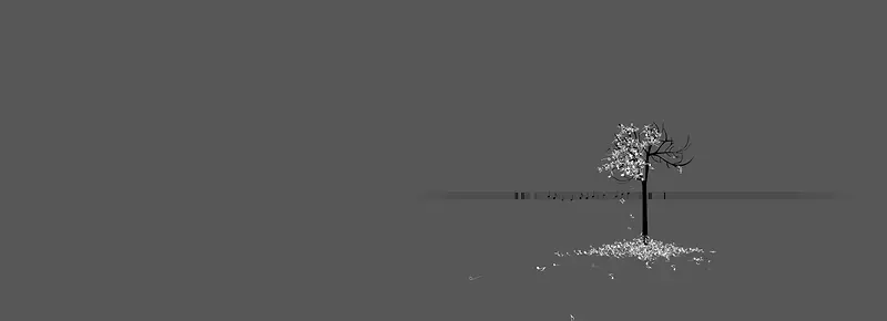 �ɰ���������-������