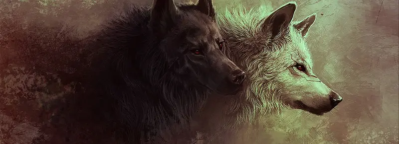 �ɰ���������-������