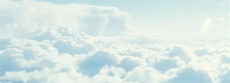 �ɰ���������-������