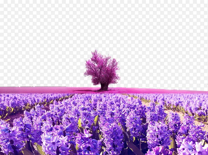 ��ɫΨ��޹�²��ɾ��ز�-������