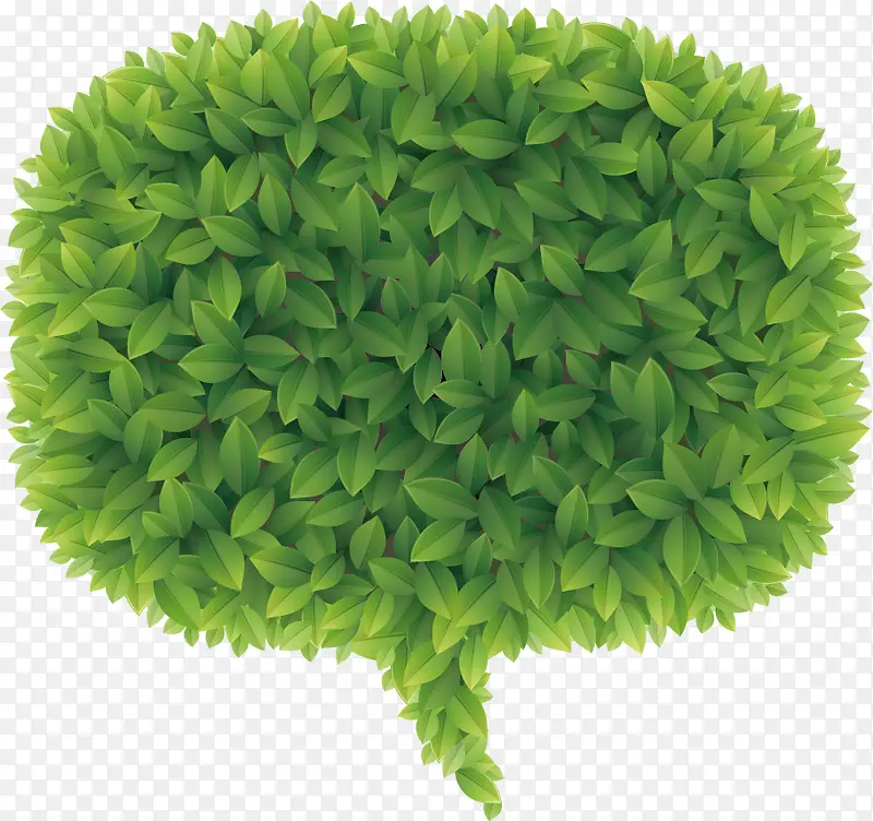 ��Ҷ��ǩ-������