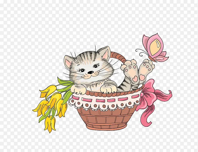 ��ͨ�ɰ�è��-������