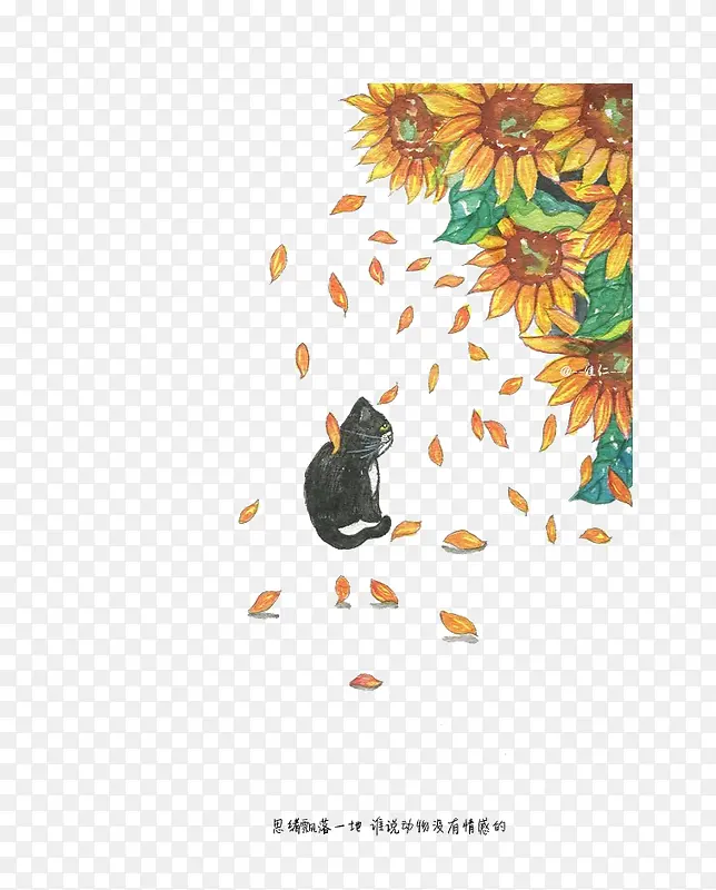 ��ͨè-������