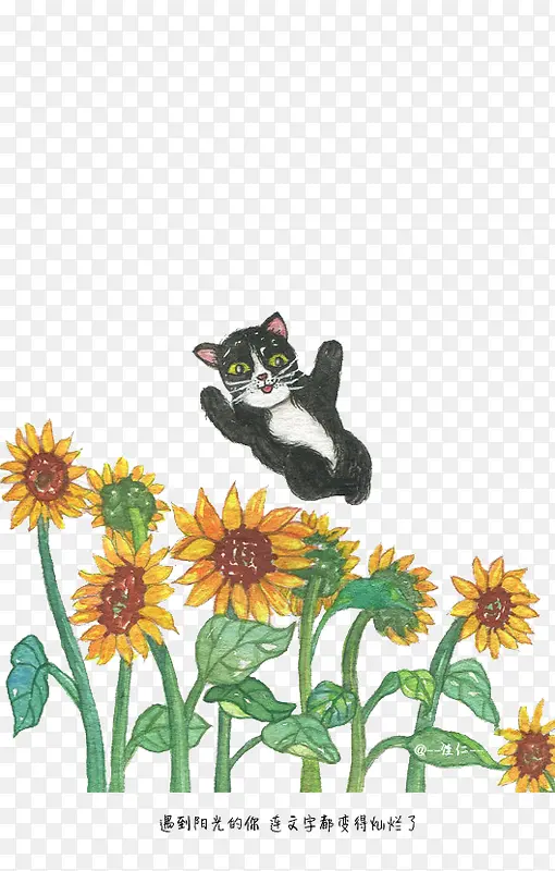 ��ͨè-������