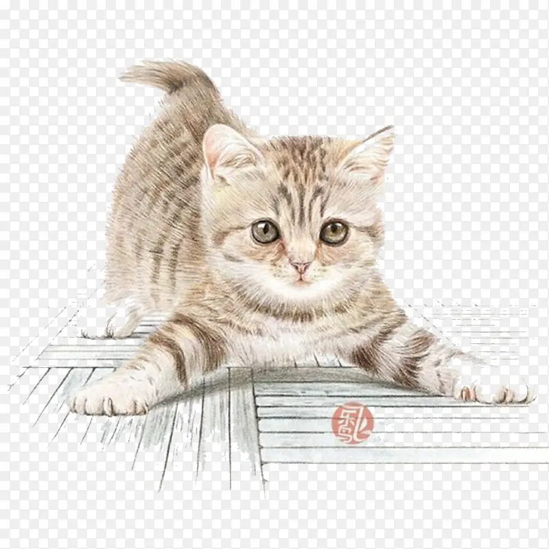 ��ͨ�ֻ�è��-������