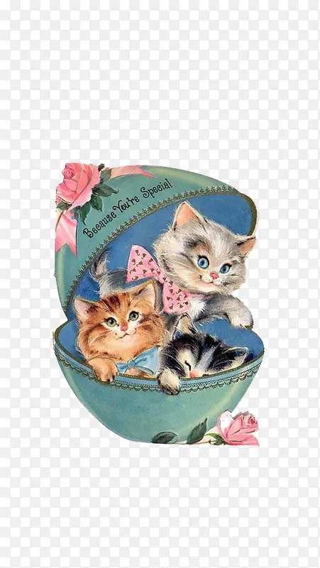 �ֻ�è-������