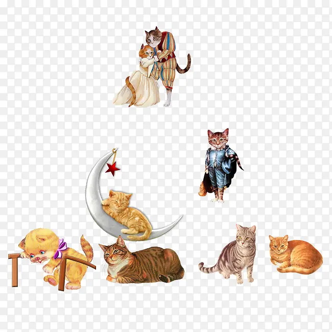 ��ͨè-������