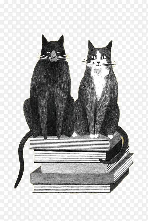 �ֻ�����è-������