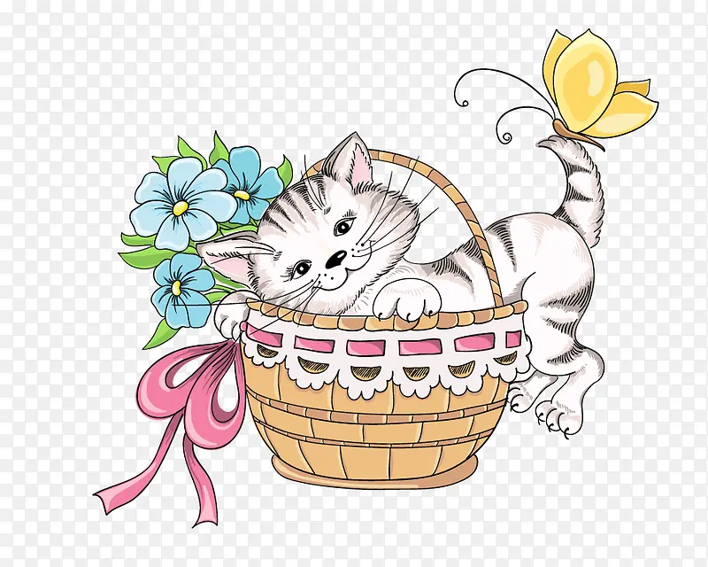 ��ͨ�ɰ�è��-������