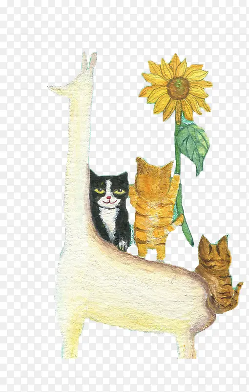 ��ͨè-������