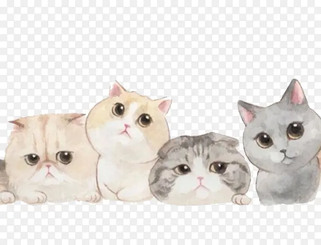 ˮ��è��-������