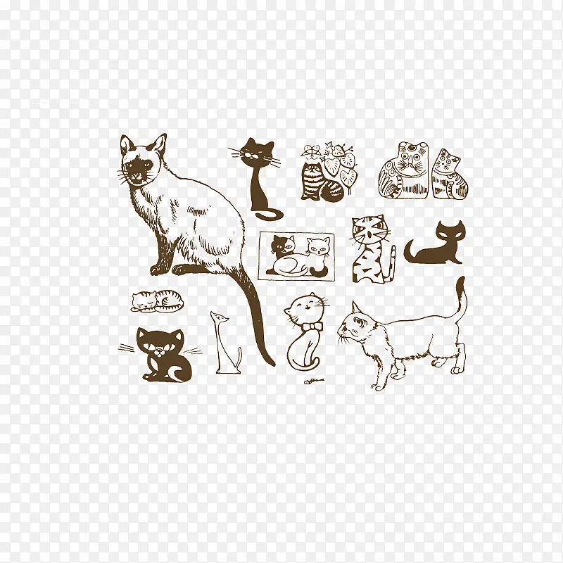 ��ͨè-������