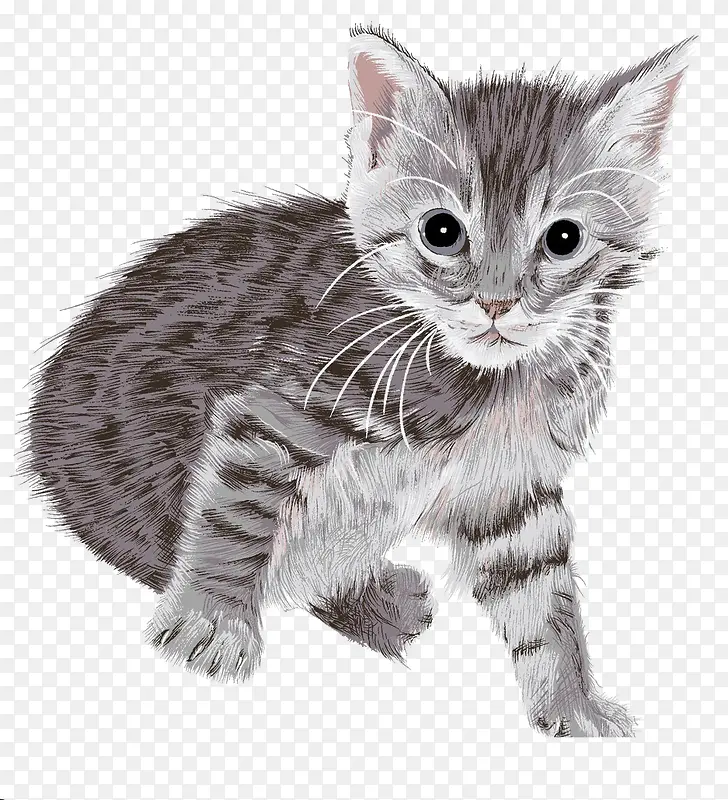 ˮ���ֻ�è��-������