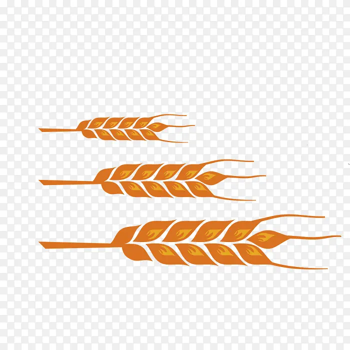 ��ɫ����-������