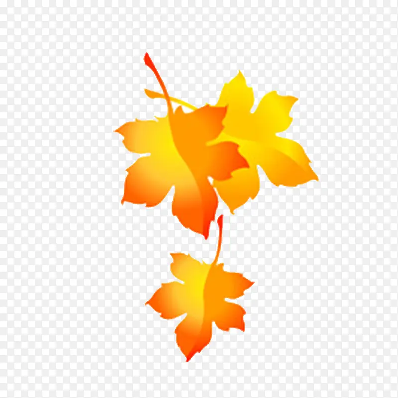 Ҷ��-������