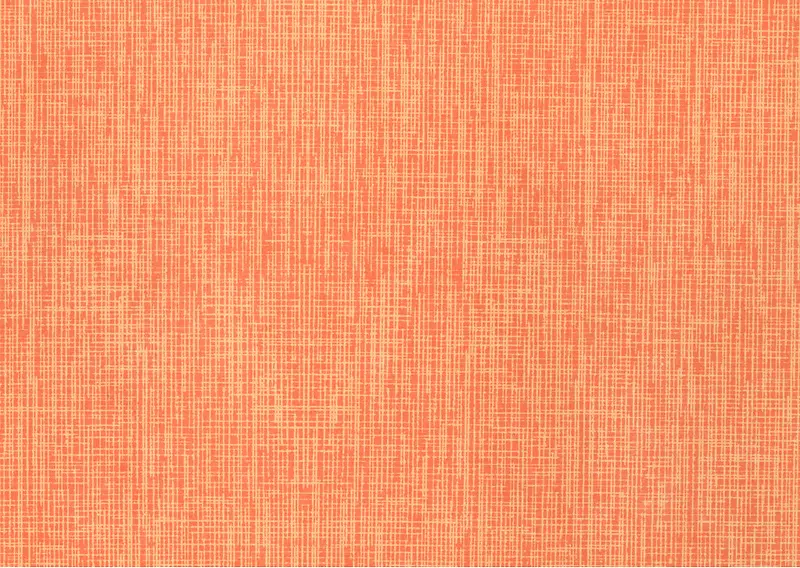 ���� ��ɫ ����-������