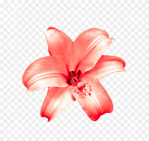 ��ɫ�Ļ�-������