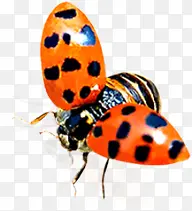 ����-������