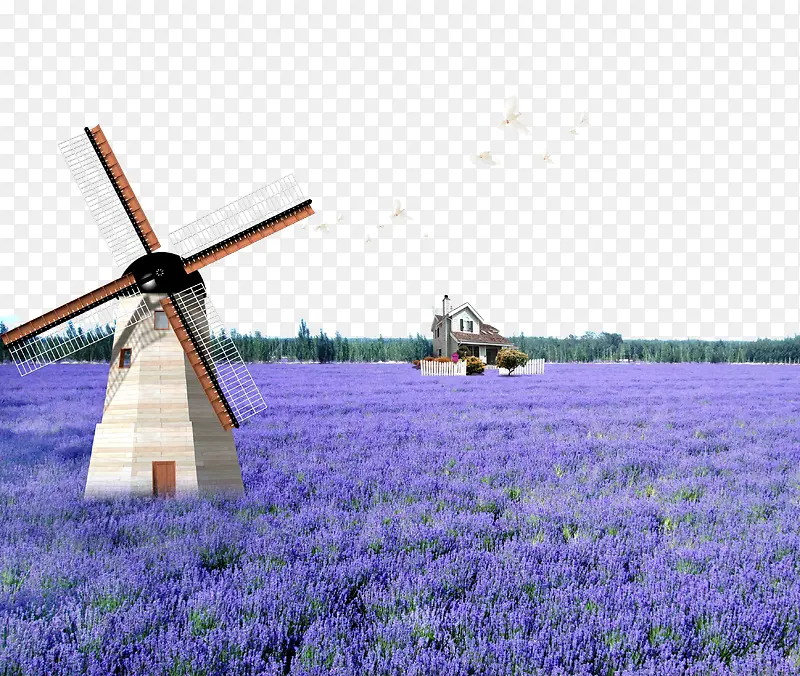 �糵޹�²ݻ����زı���-������