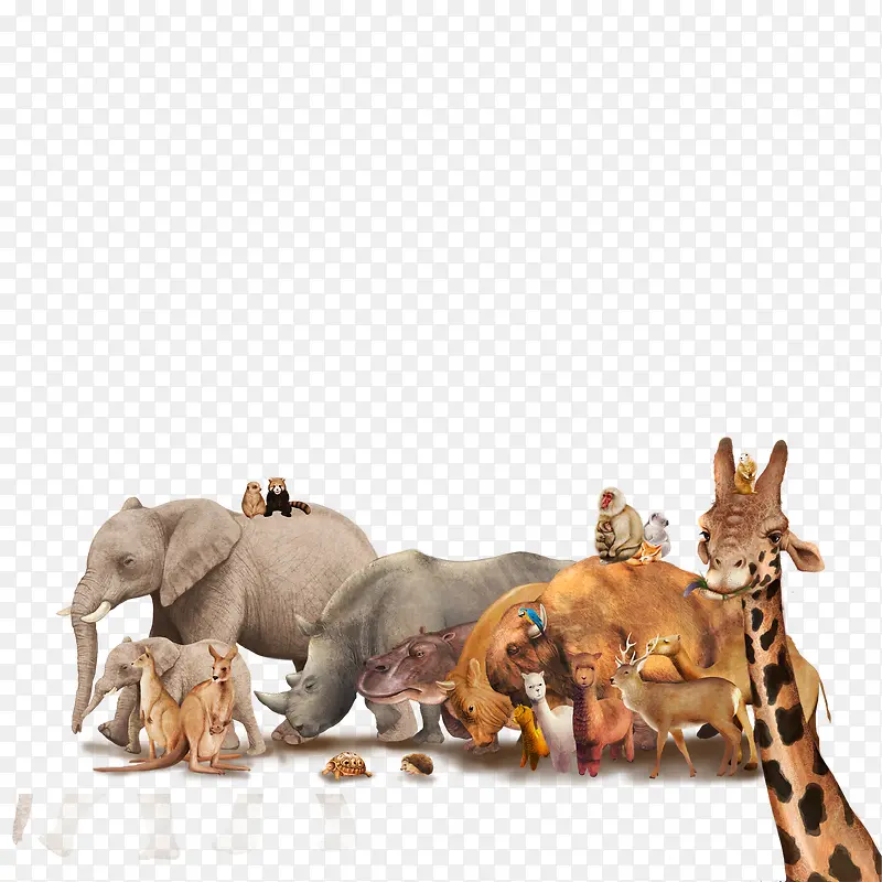 ���ֶ���-������