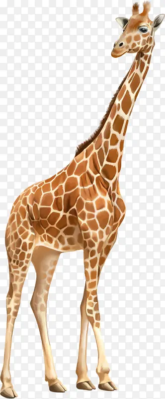 ϡ�ж���-������