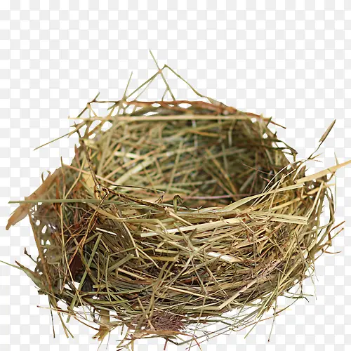 ���ѣ��ݣ���Ȼ��װ��-1-������