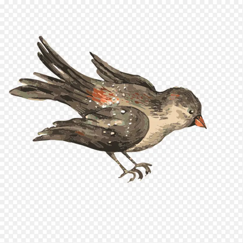 �񣬶���-������