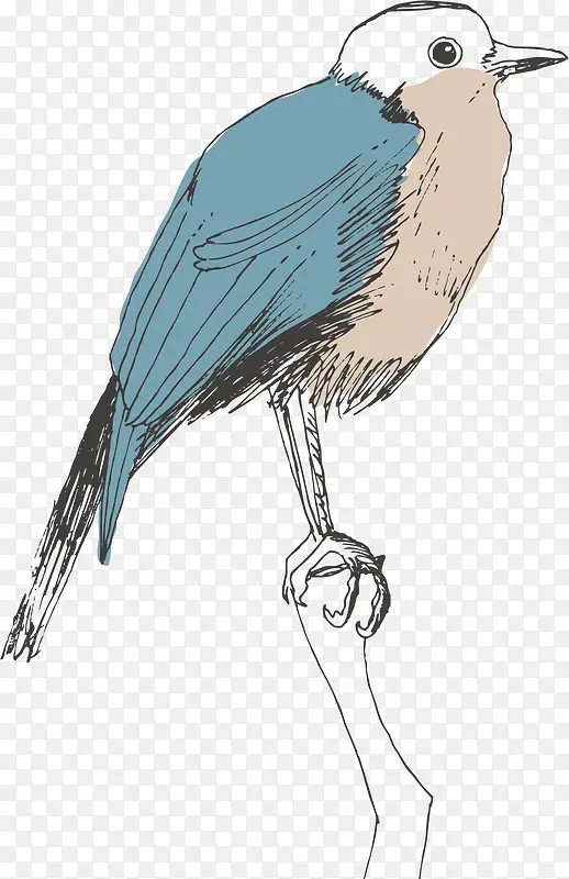 �ֻ���-������