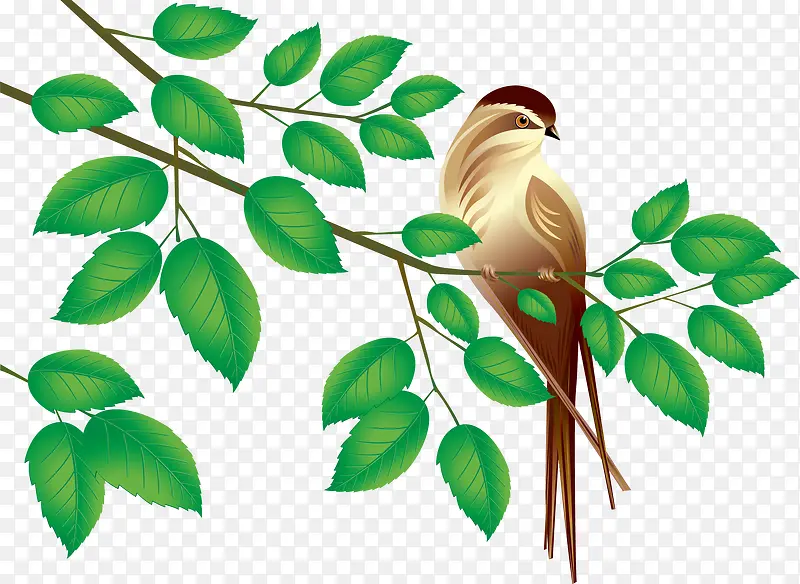 ʸ���ֻ���-������