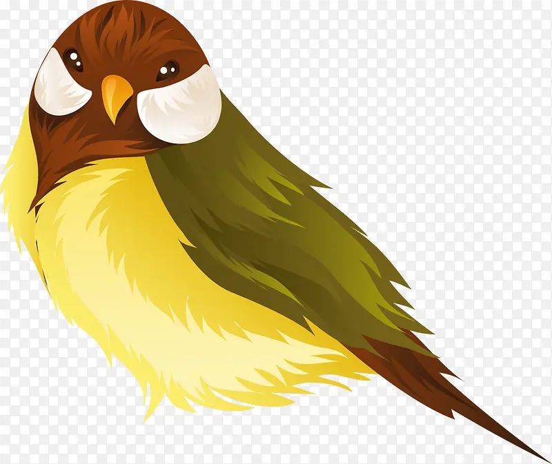 �� ��ͨ �ֻ�-������