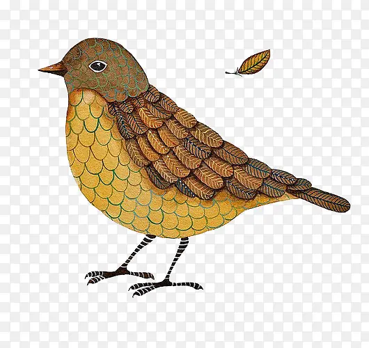 �廭��-������