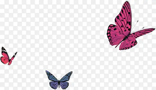 �ֻ�������ɫ����-������