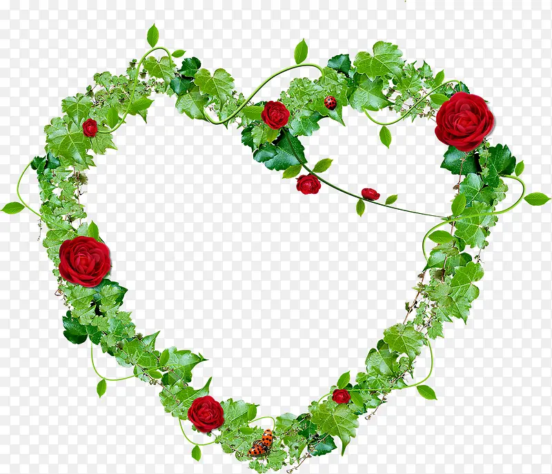 ��ɫ��ˬõ�廨������-������