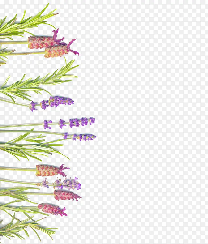 ��Ҷ޹�²��زı���-������