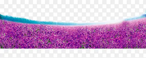 ����޹�²�-������