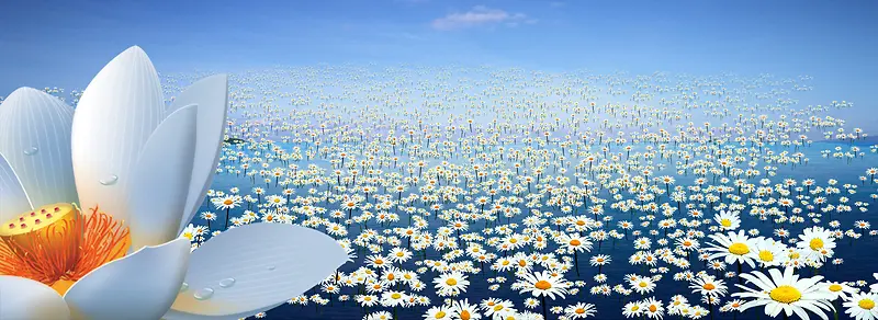 ��ɫ��������-������