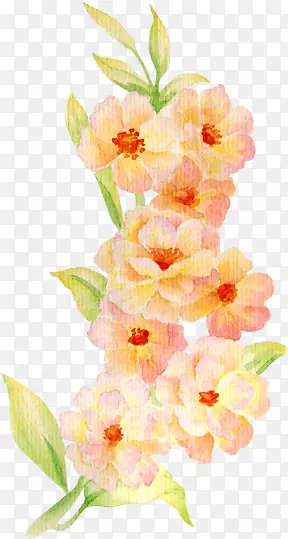 �ֻ滨�ܻ�ɴ��ӰͼƬ-������