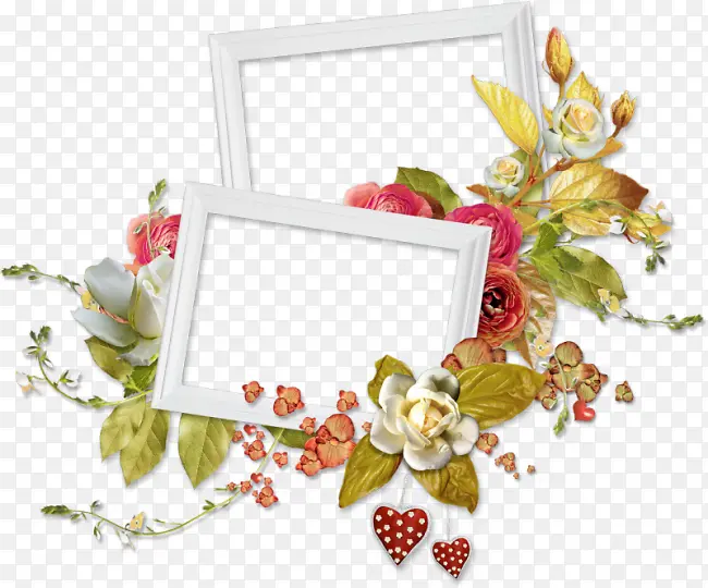 ��ɫ�߿򻨱�-������