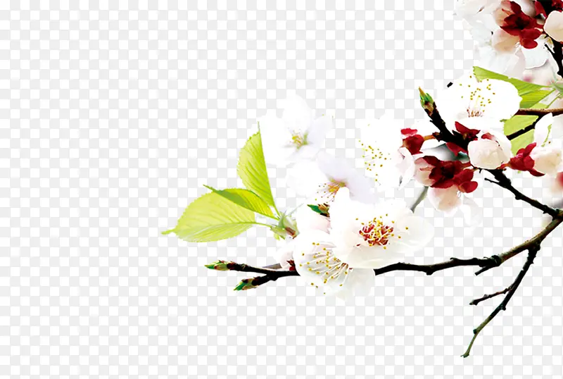 ľ�޻�-������