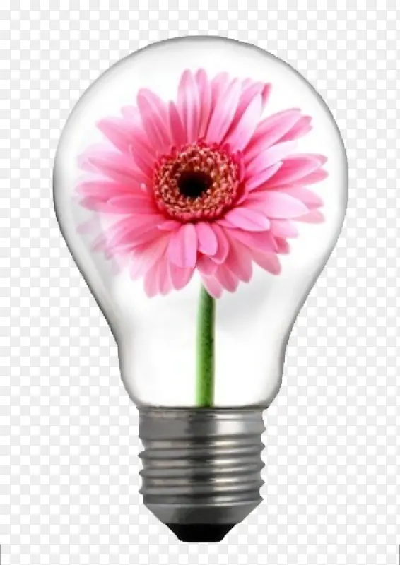 �������-������