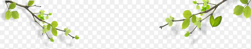 ��ѧ��˯�´�����Ҷ-������