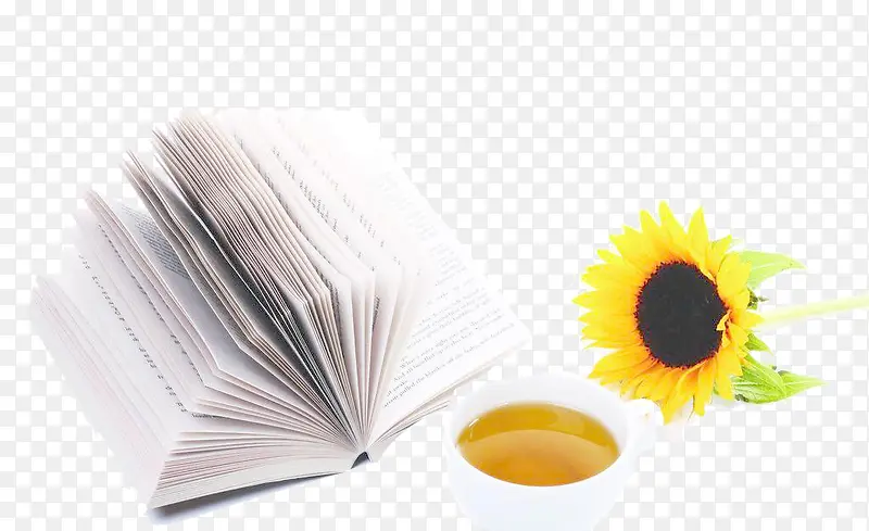 �鱭�����տ�-������