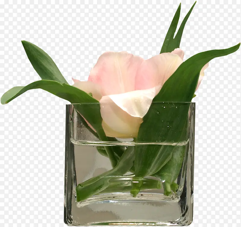 ���� �� װ��-������