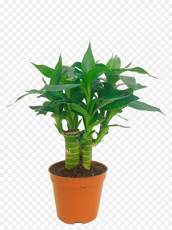 �����߹����� ��ɫ������ ������-������