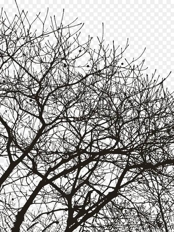 ͸����������-������